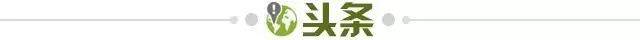 1685315917510002698.jpg 头条.jpg